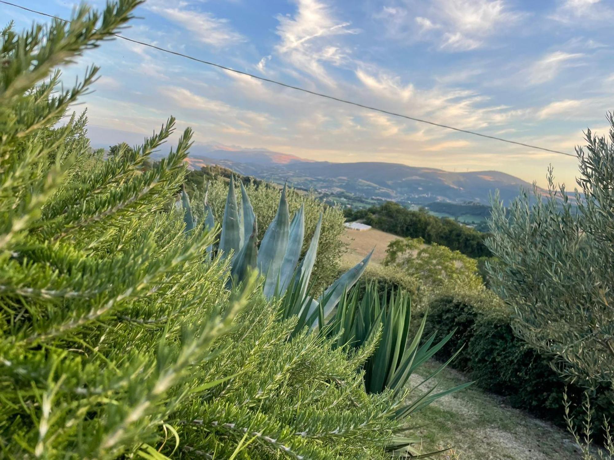 Agriturismo Villa Rosetta San Severino Marche Exteriör bild