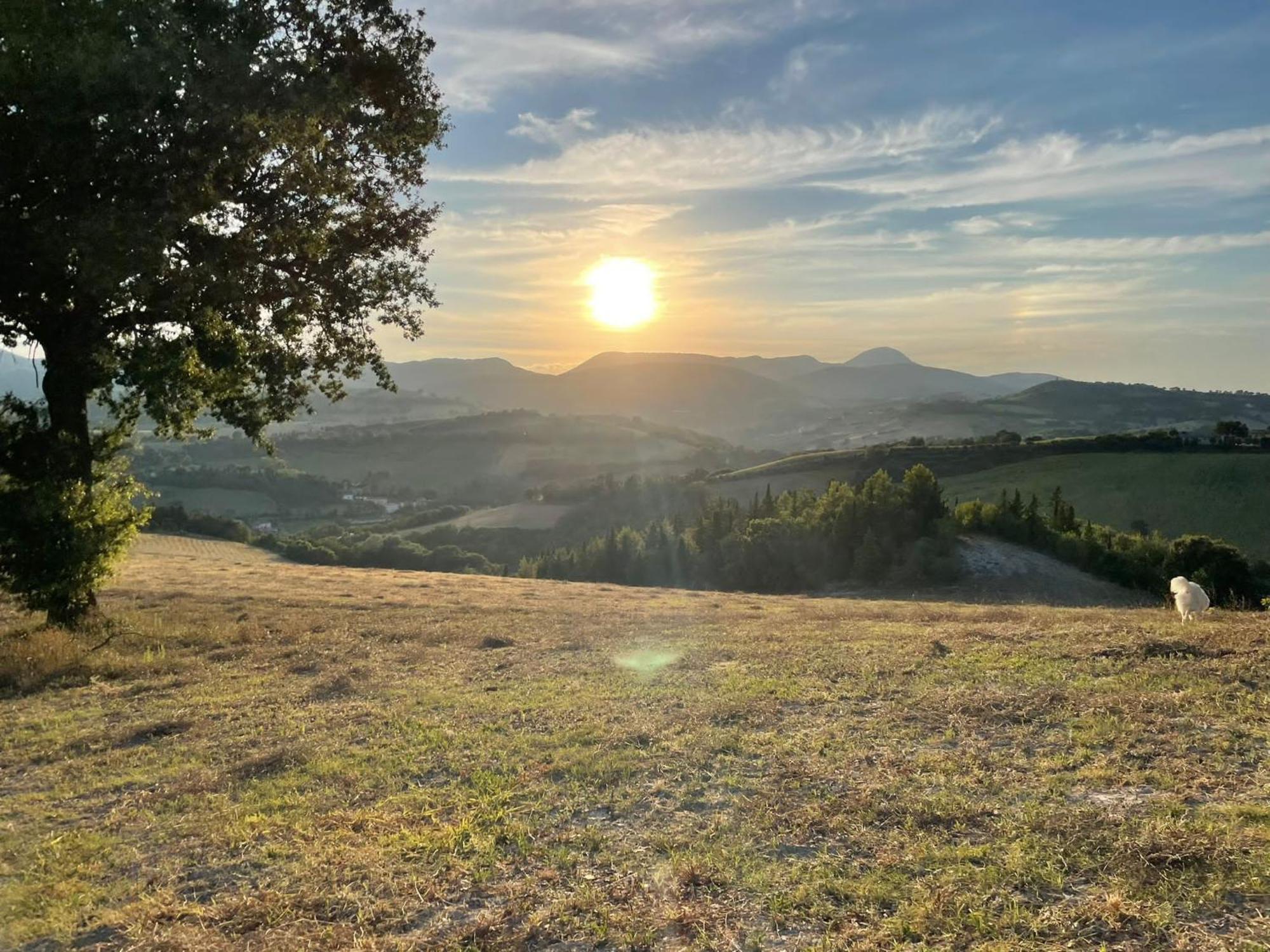 Agriturismo Villa Rosetta San Severino Marche Exteriör bild