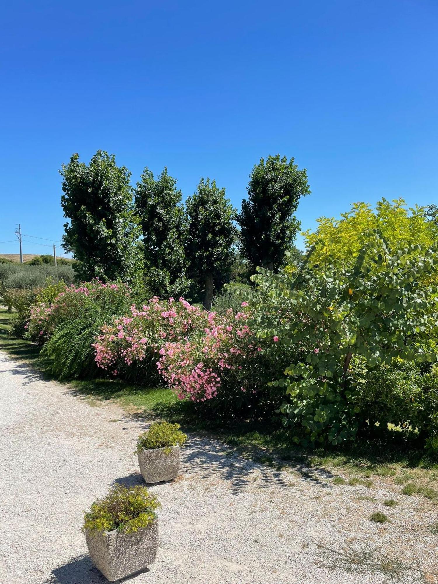 Agriturismo Villa Rosetta San Severino Marche Exteriör bild