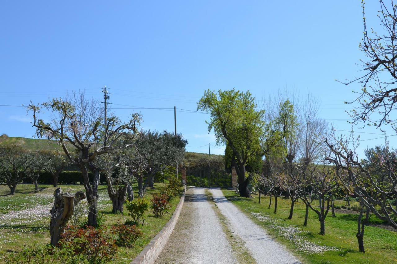 Agriturismo Villa Rosetta San Severino Marche Exteriör bild