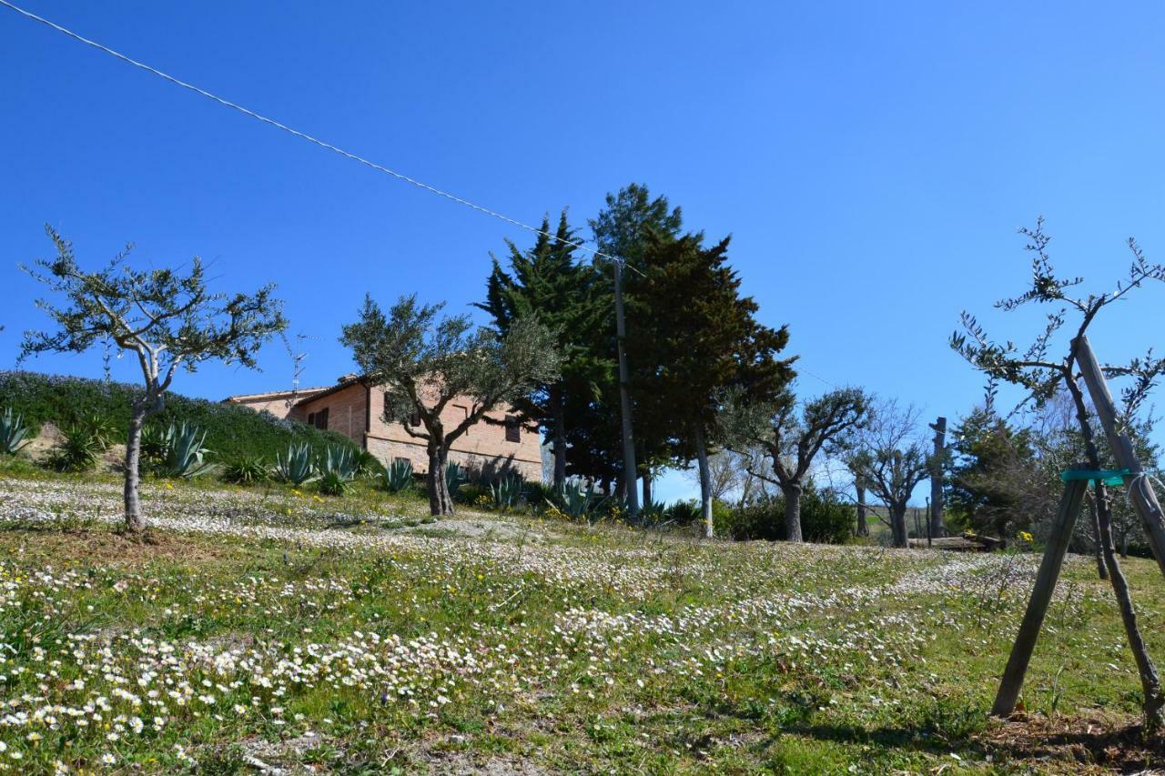 Agriturismo Villa Rosetta San Severino Marche Exteriör bild