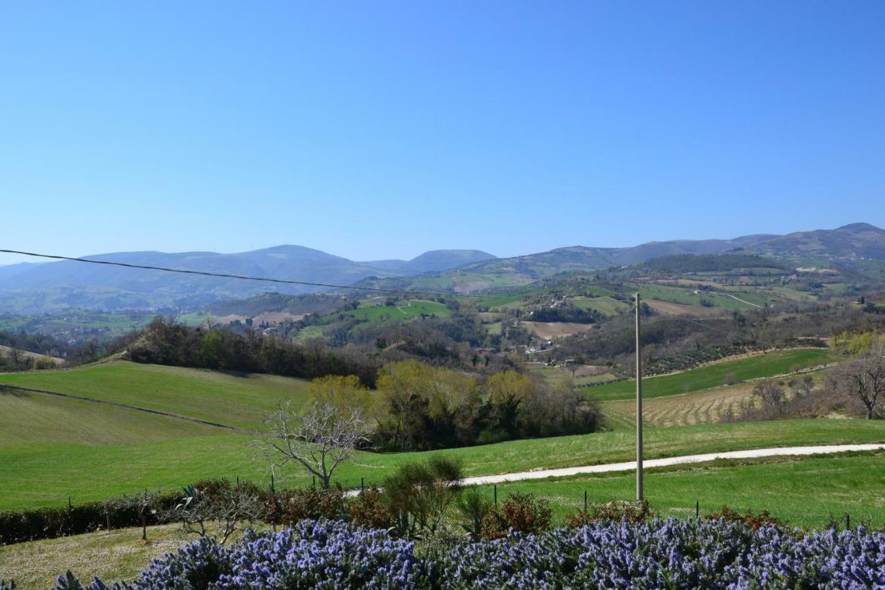 Agriturismo Villa Rosetta San Severino Marche Exteriör bild